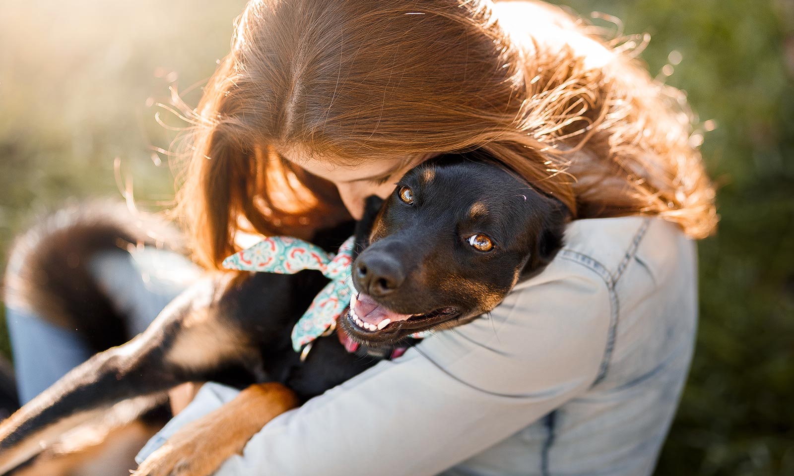 A German Shepherd being hugged